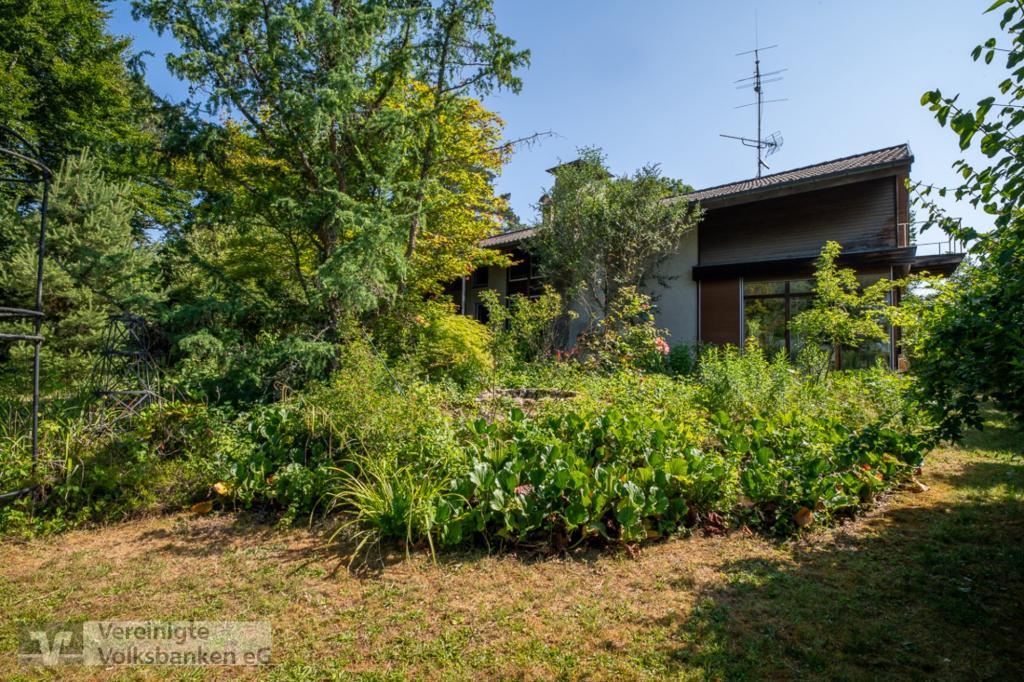 Garten Bild Nr. 3