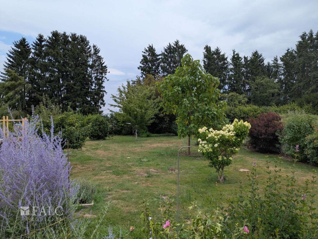 Garten II