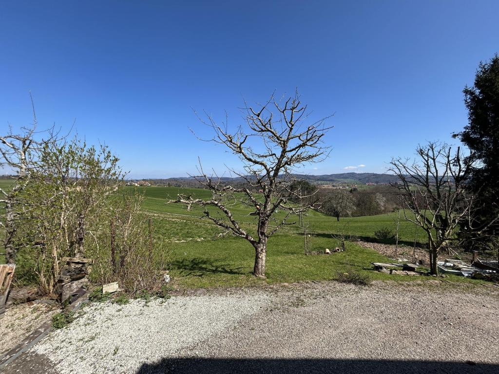 Ausblick