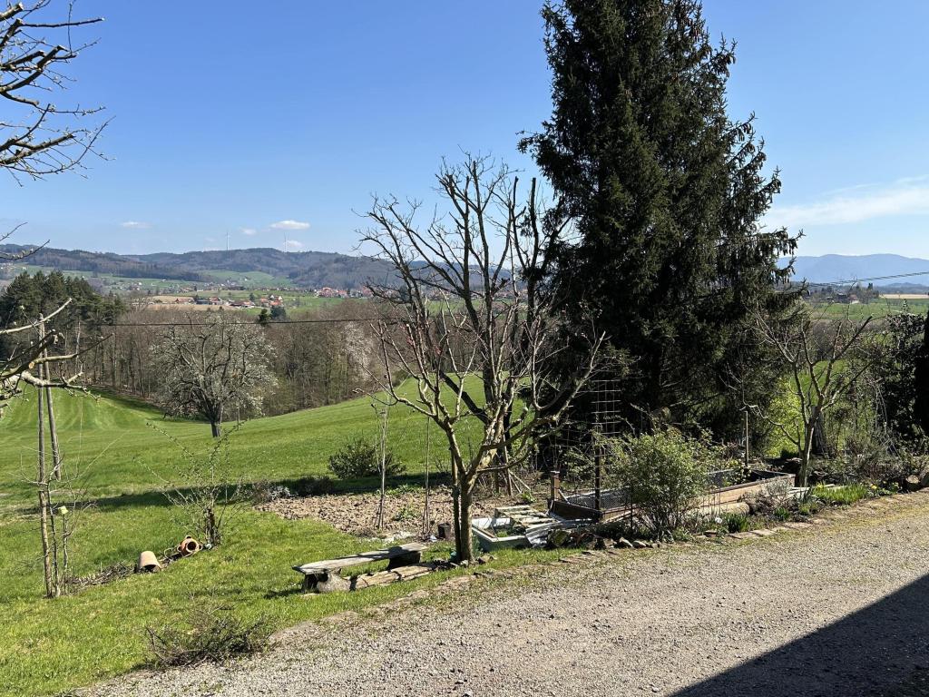Kleiner Nutzgarten
