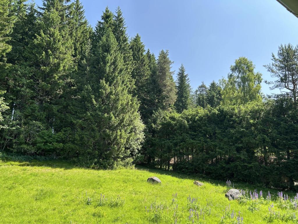 Gemeinschaftsgarten