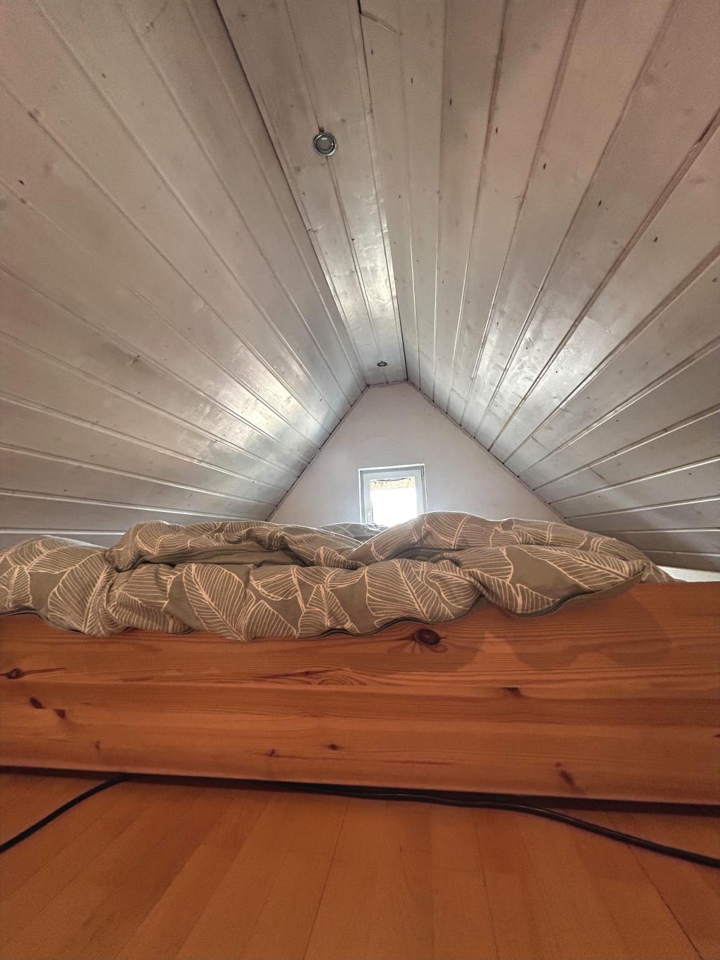 Dachspitz: Rückzugsort