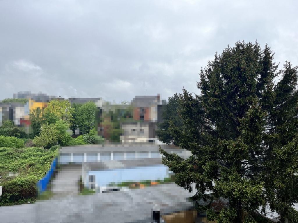 Blick nach Draußen 2