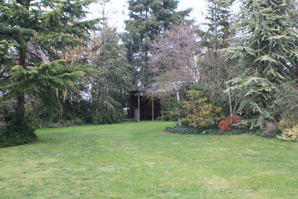 Gartenansicht.JPG