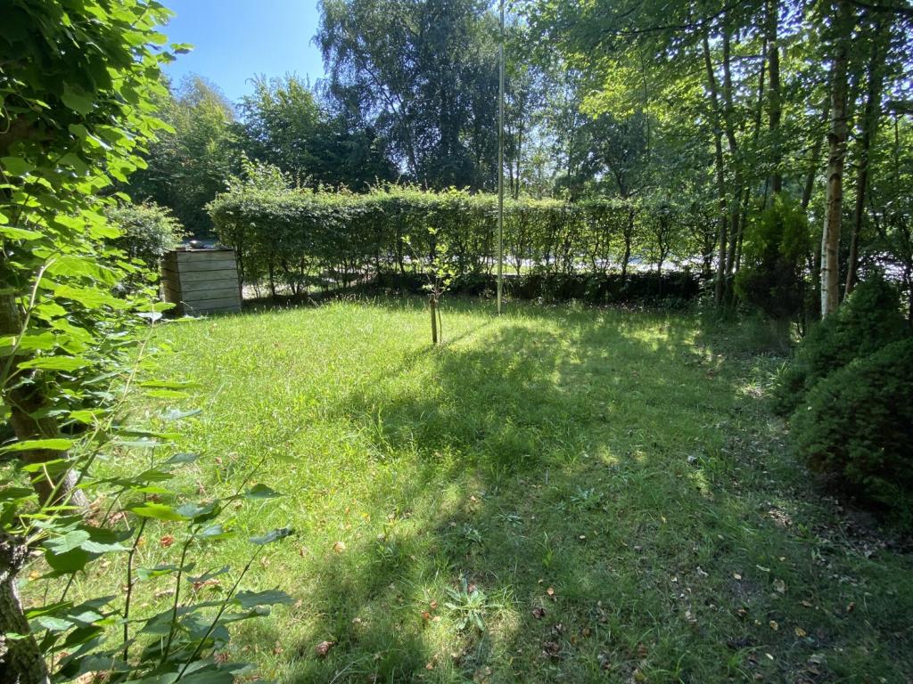 Garten Norden 2 - 15.08.25