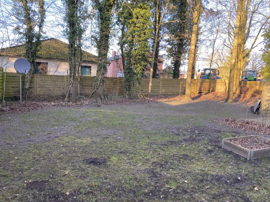 Garten hinter dem Haus