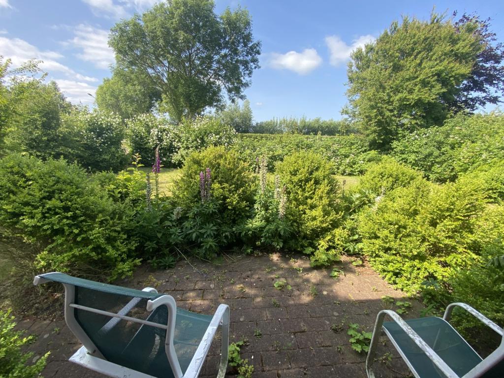 Garten 1