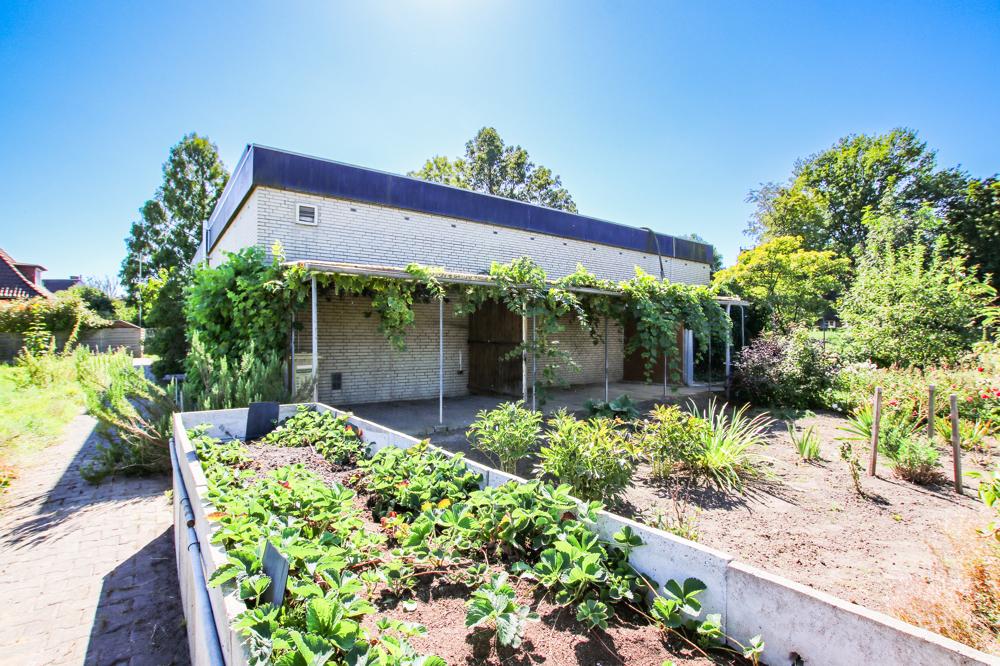 Garten_