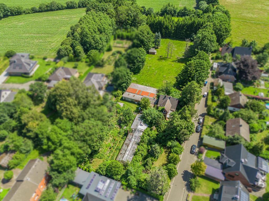 .Draufblick
