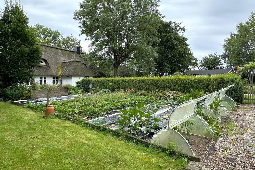 Gemüsegarten