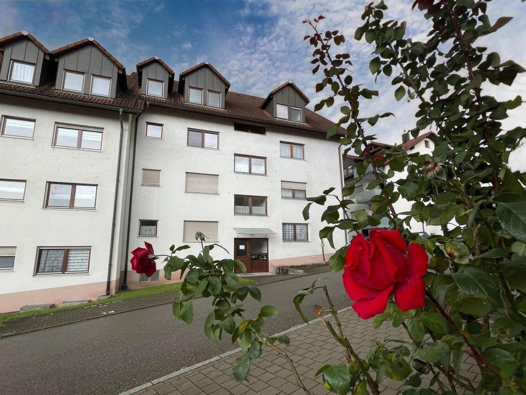 Kleine ideale Wohnung mit tollem Grundriss - Photo 3