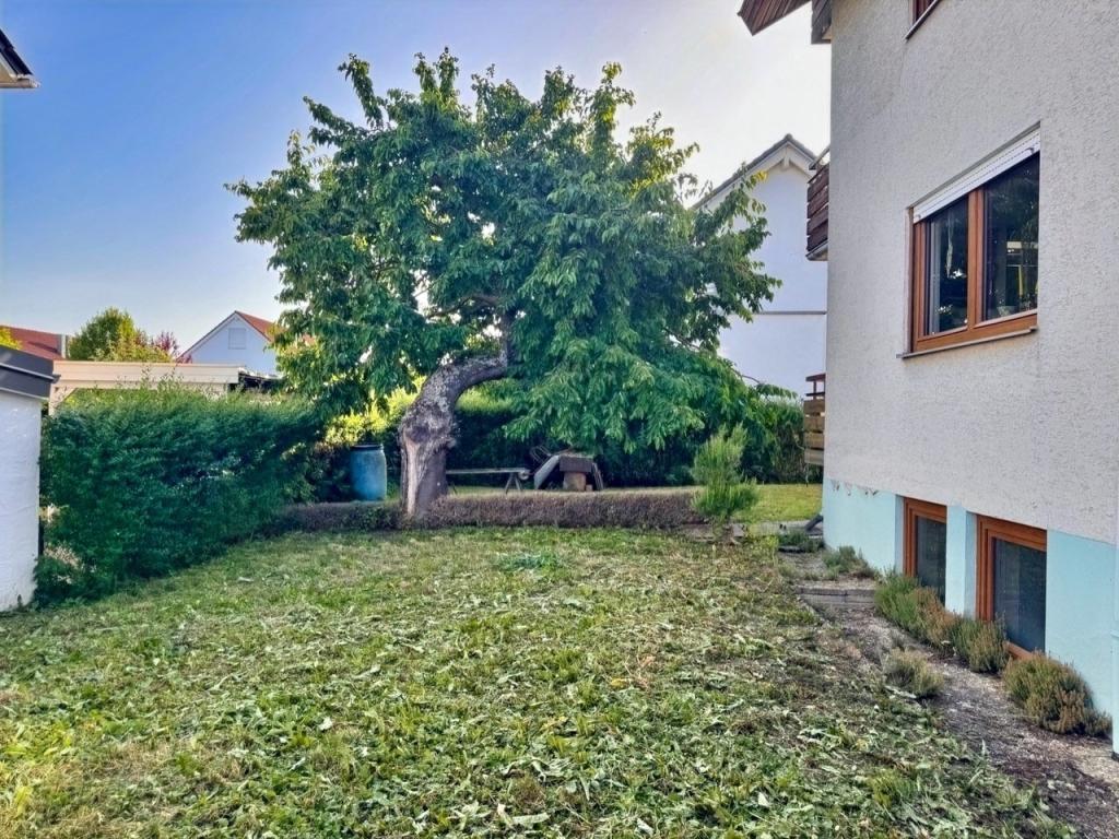 Südseite & Garten