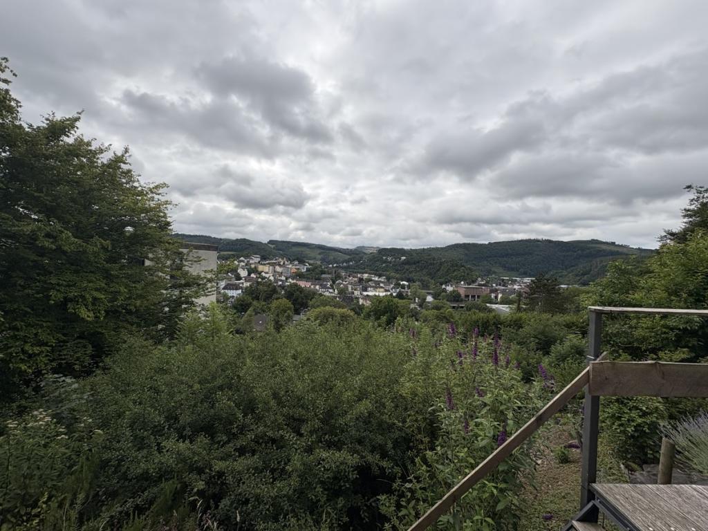 Ausblick