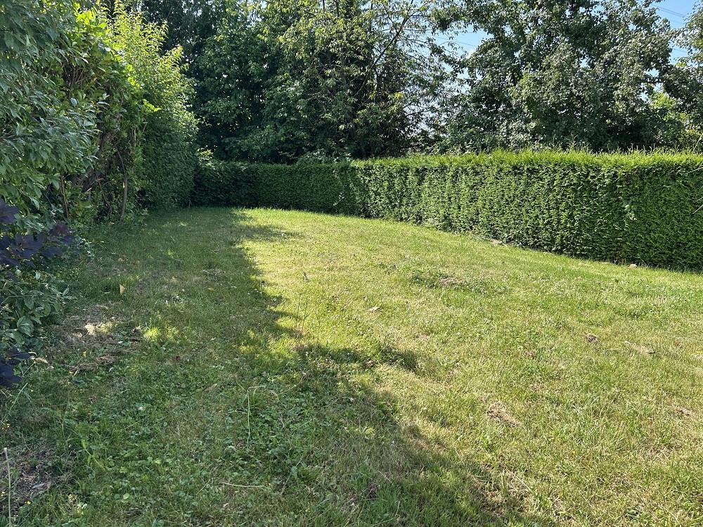Blick auf das Grundstück