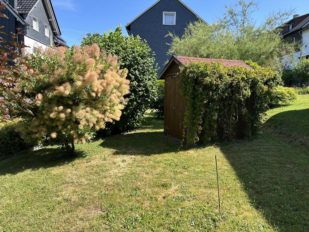 Blick in den Garten
