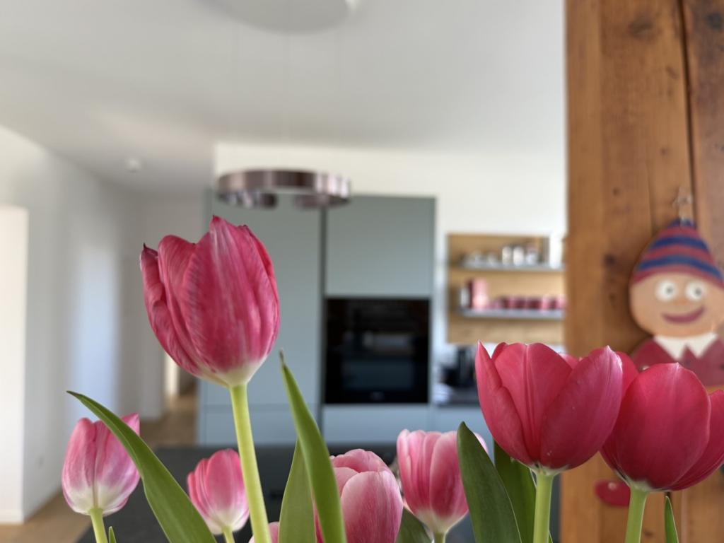 Pure Freude beim Kochen in der...