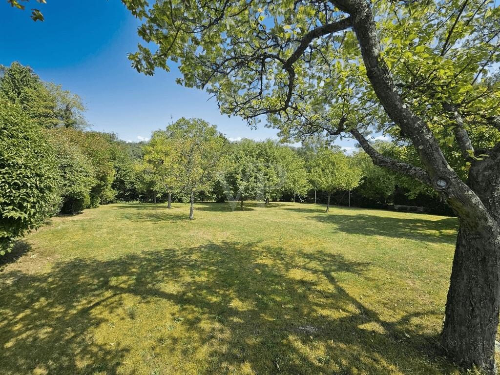 Schöner großer Garten