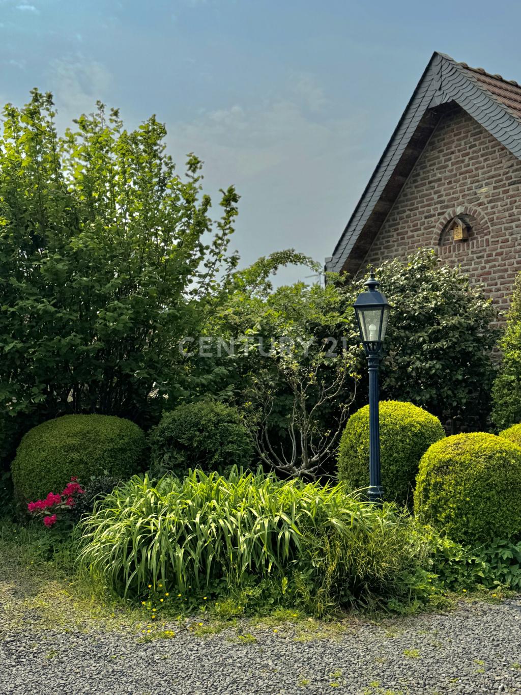 Sichtachse im Palmengarten