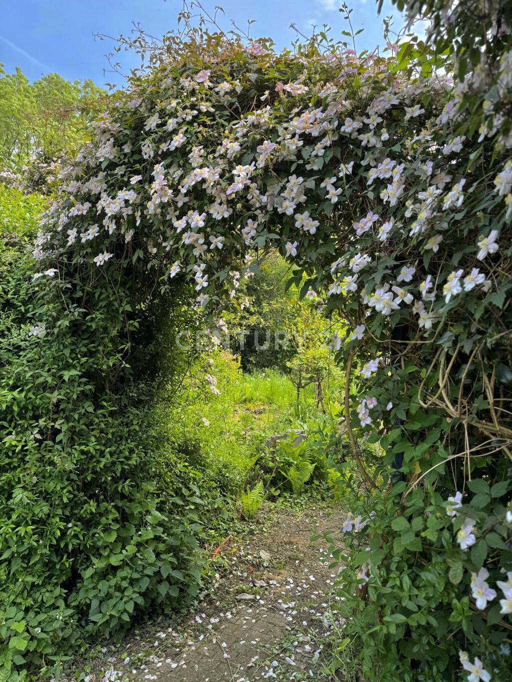 Weg zum Naturgarten
