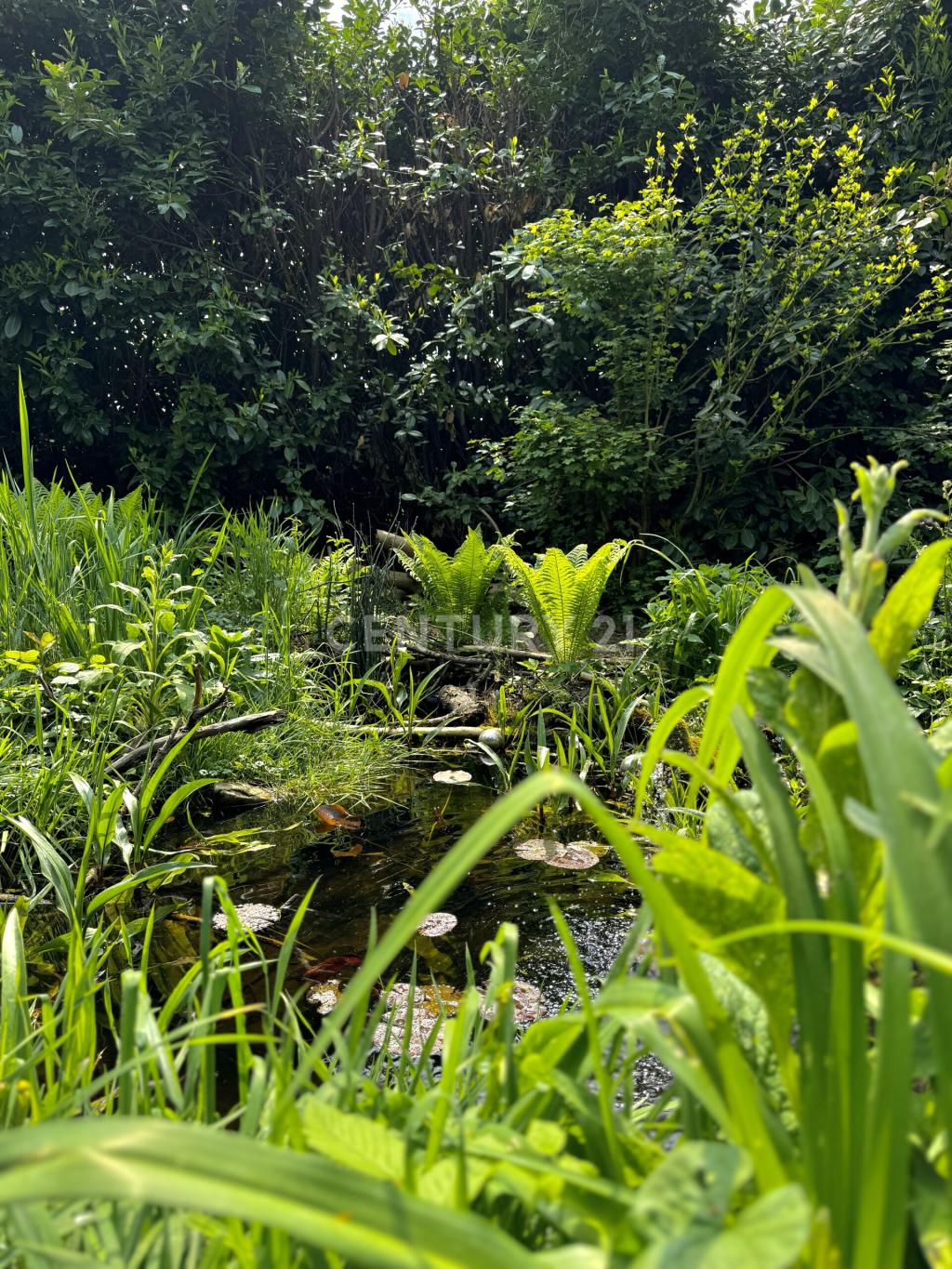 unberührte Natur