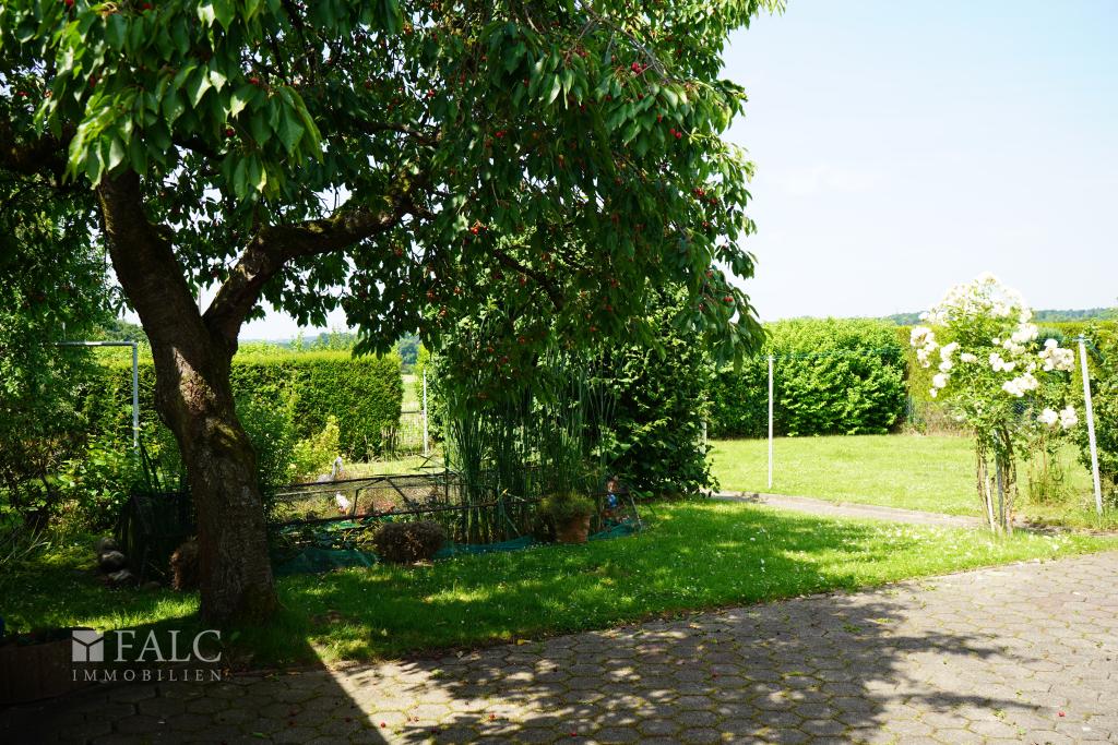 DSC00632