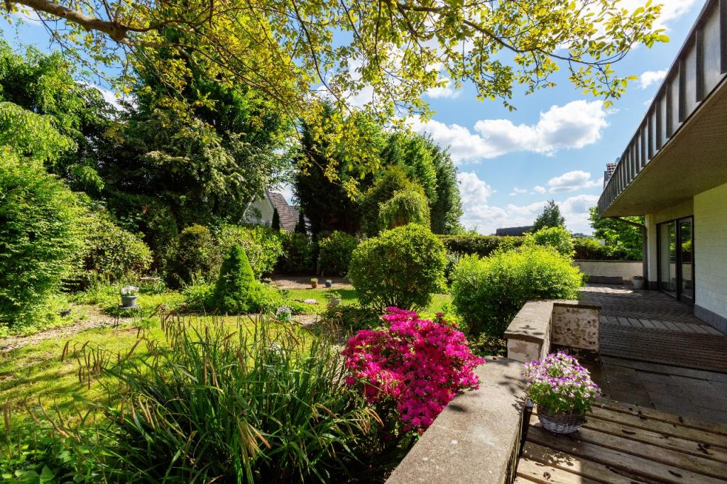 Garten Ansicht 3
