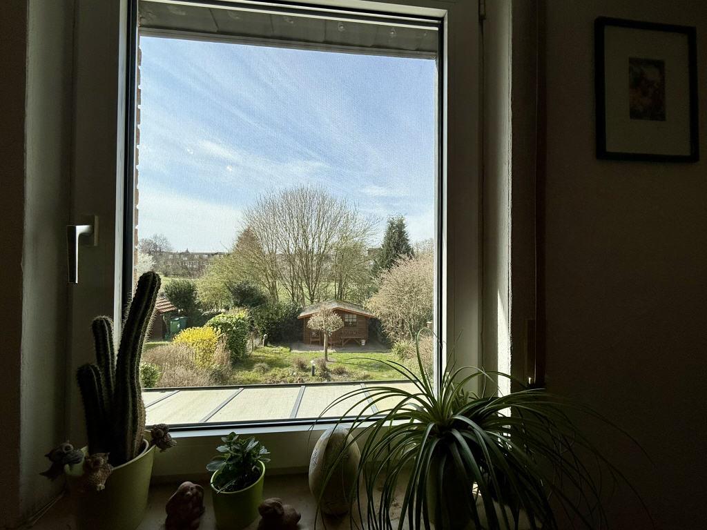 Blick vom Obergeschoss in den Garten