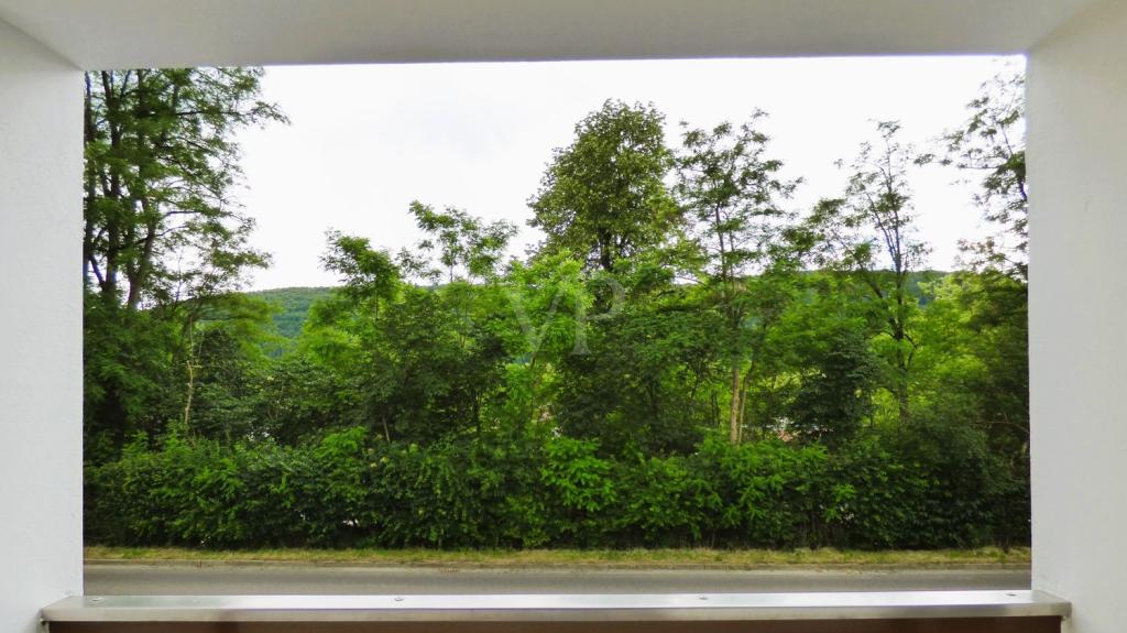 Ausblick vom Balkon