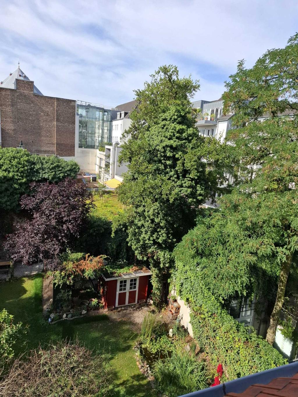 Garten im Hinterhof