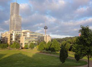 bilder-gruen-mediapark_320