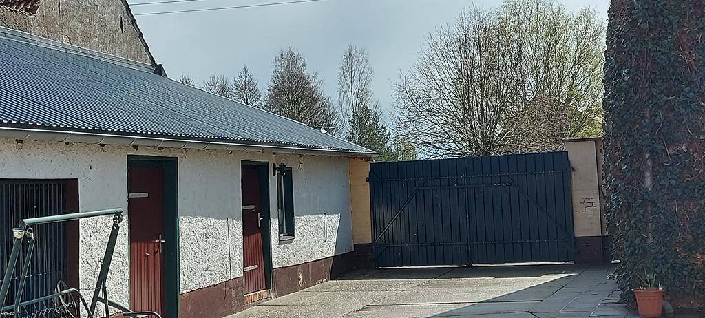 20230411_140457.jpg