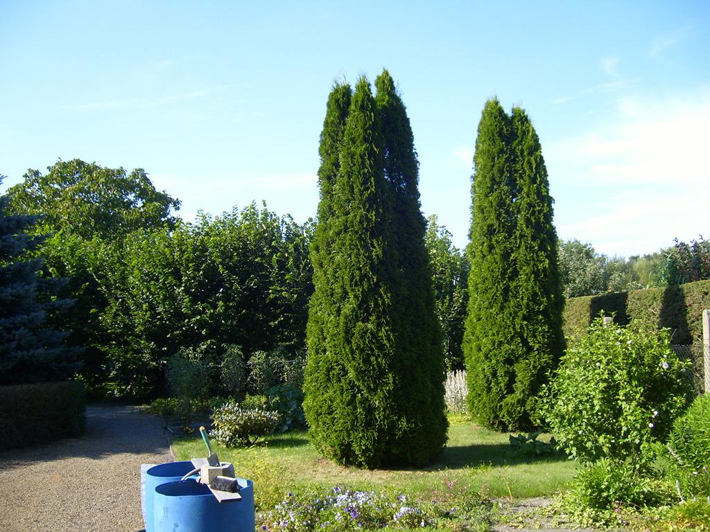 Bilder Grundstück 124.jpg