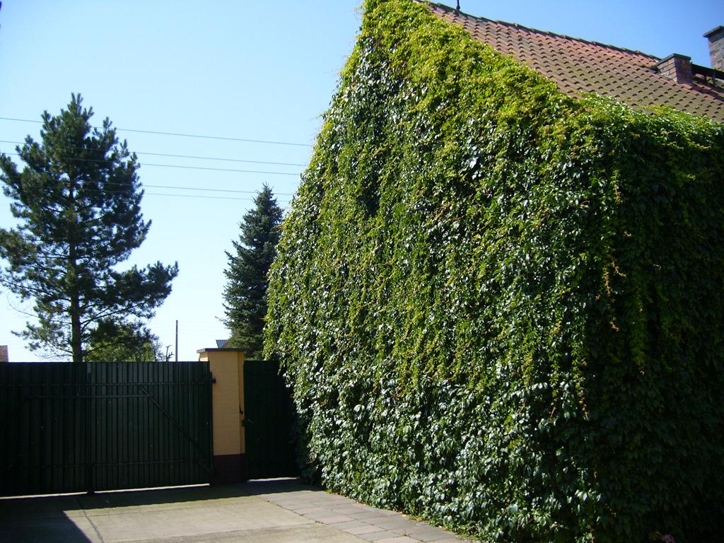 Bilder Grundstück 157.jpg