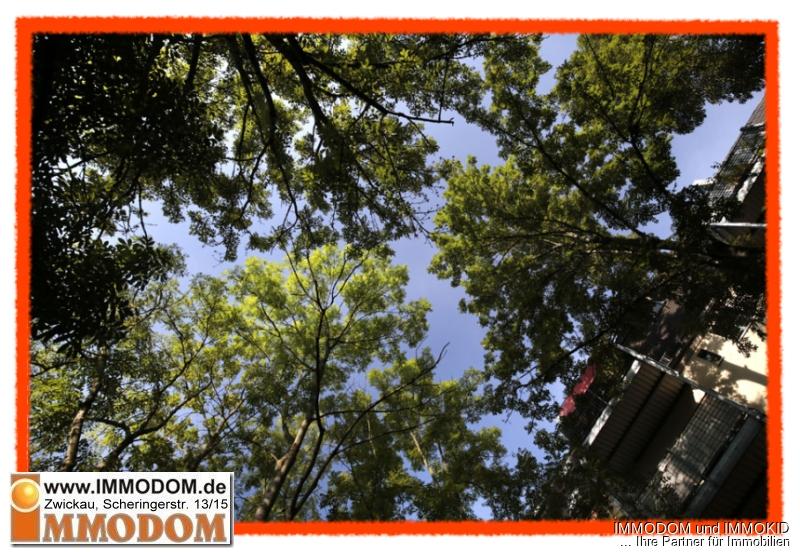 3-Zimmer-Hochparterre-Wohnung mit BALKON in Zwickaus beliebtem Wohnquartier zu vermieten! - Photo 5