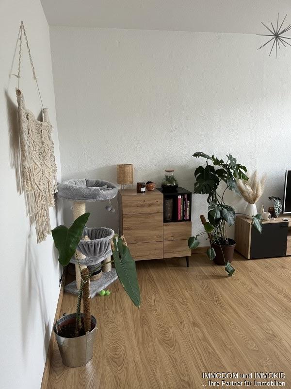 2-Zimmer-Wohnung mit EINBAUKÜCHE, LAMINAT, großer Küche und schönem Badezimmer zu vermieten! - Photo 3