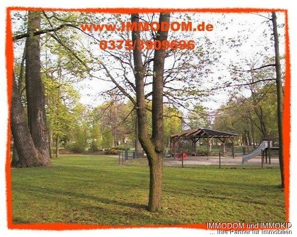 2-Zimmer-Dachwohnung in ruhiger & zentrumsnaher Grünlage von Zwickau zu vermieten! - Foto 2