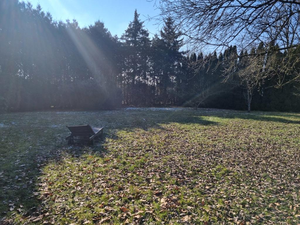 2. möglicher Bauplatz