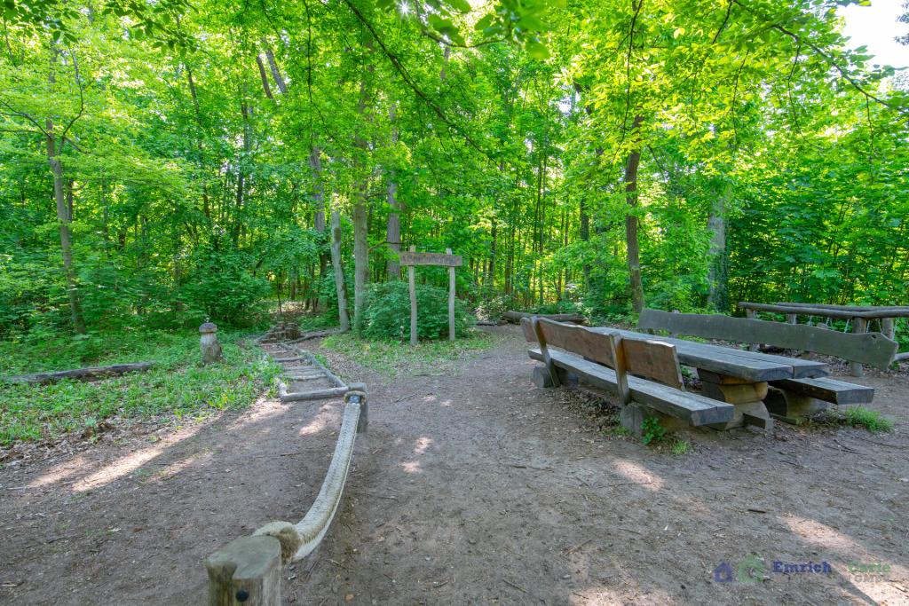Umgebung - Lennebergwald