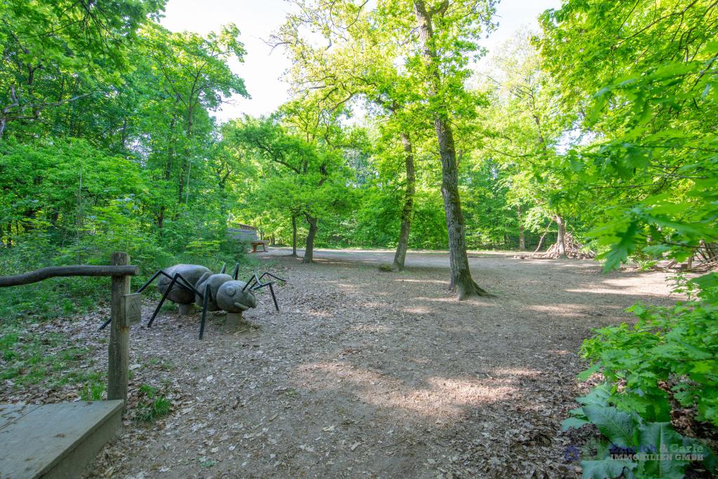Umgebung - Lennebergwald