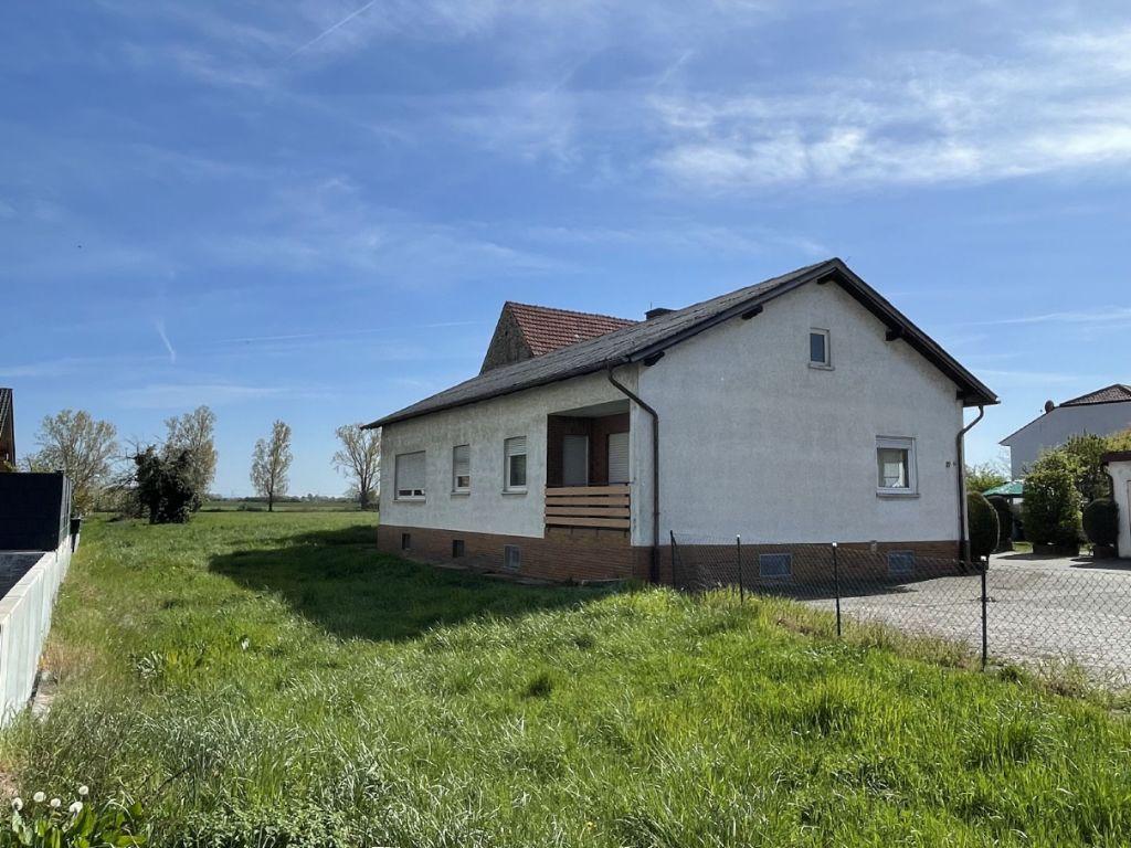 Bild12