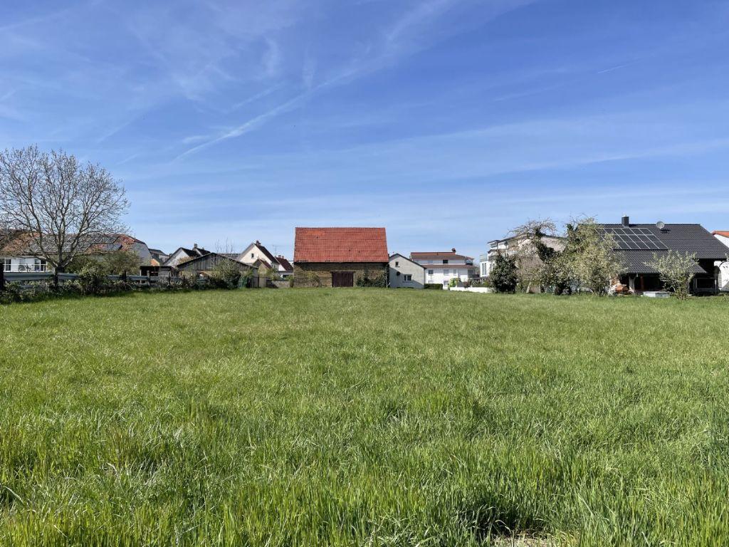 Bild6