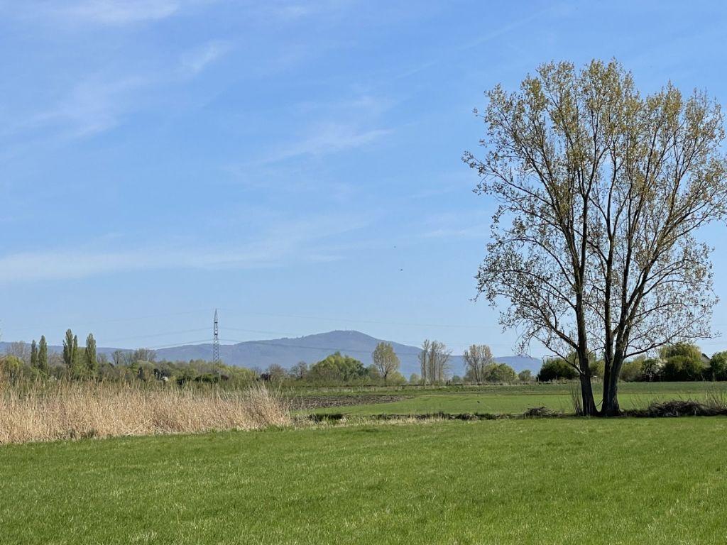 Bild8