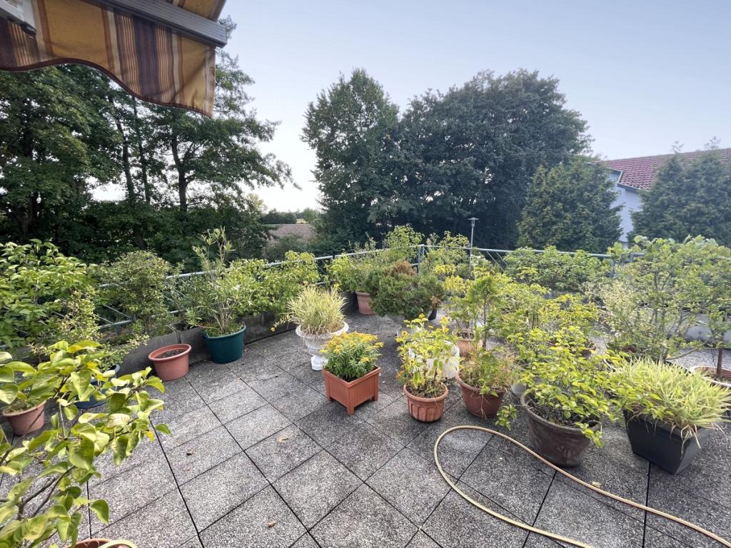 Dachterrasse 