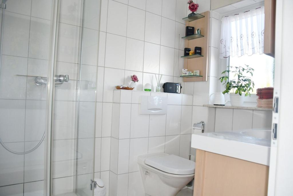 Dusche/Gäste-WC