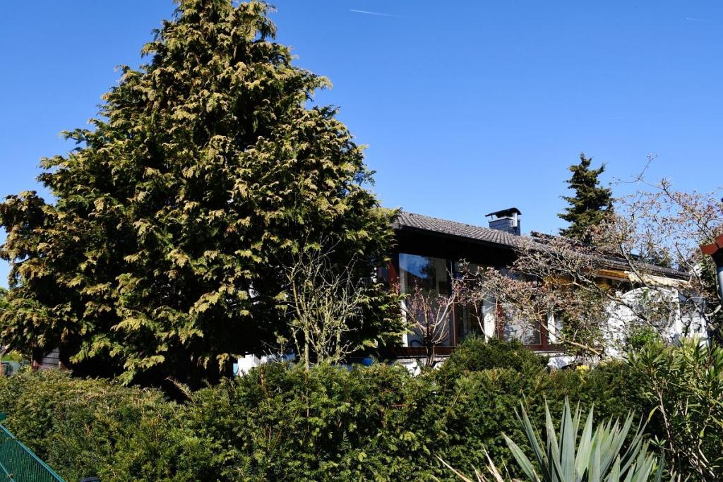 Hausansicht Gartenseite