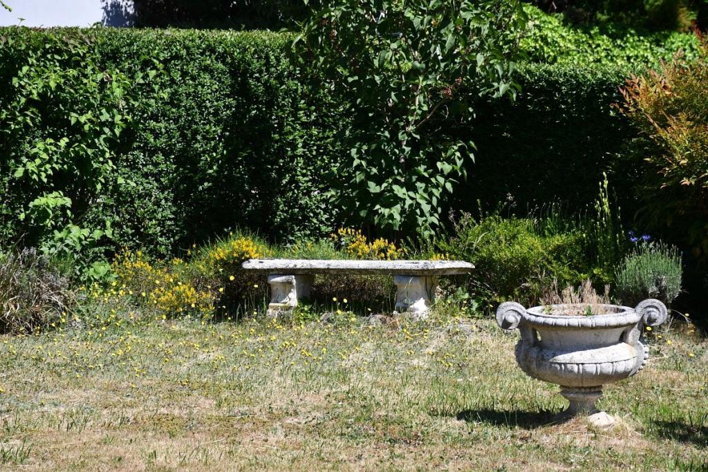 ein Hauch von Ewigkeit im Garten