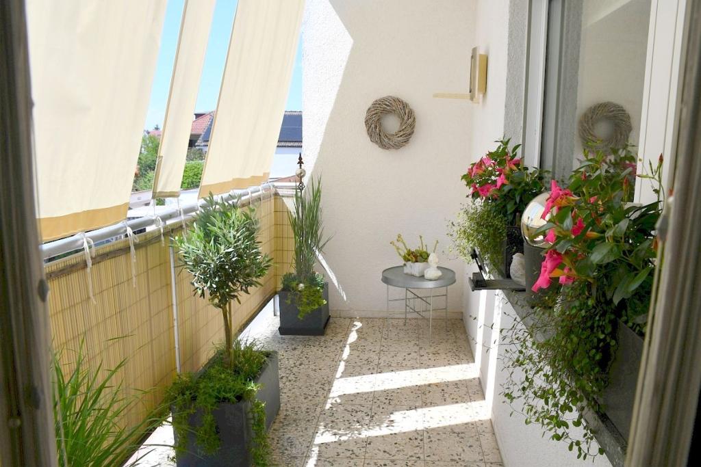Sonnenbalkon