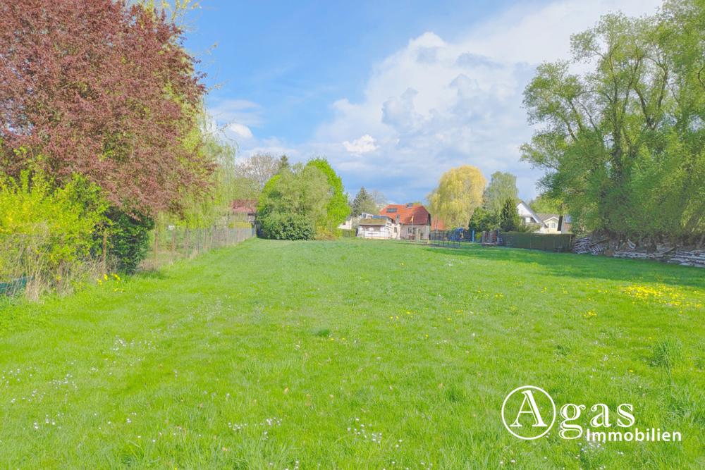 Blick nach vorn