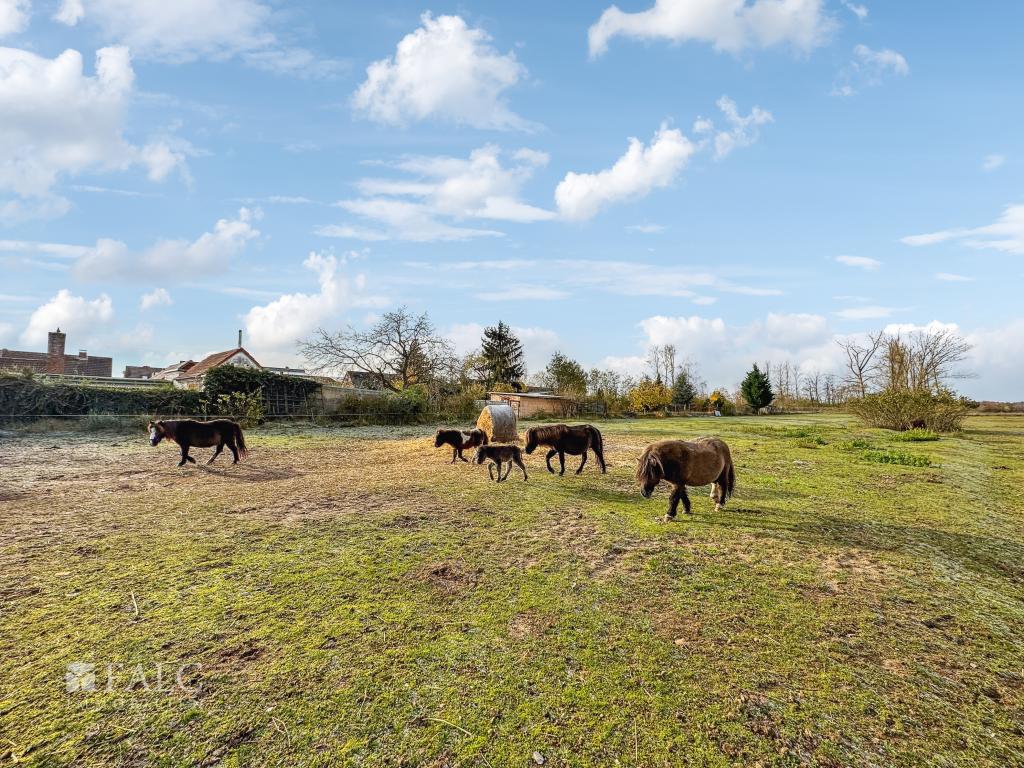 Nahansicht - 