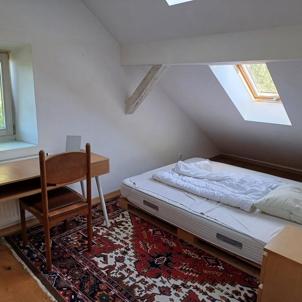 Idyllisch gelegene DG-Wohnung (2.OG) mit Gartenbenutzung - Foto 3